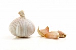 Garlic_3